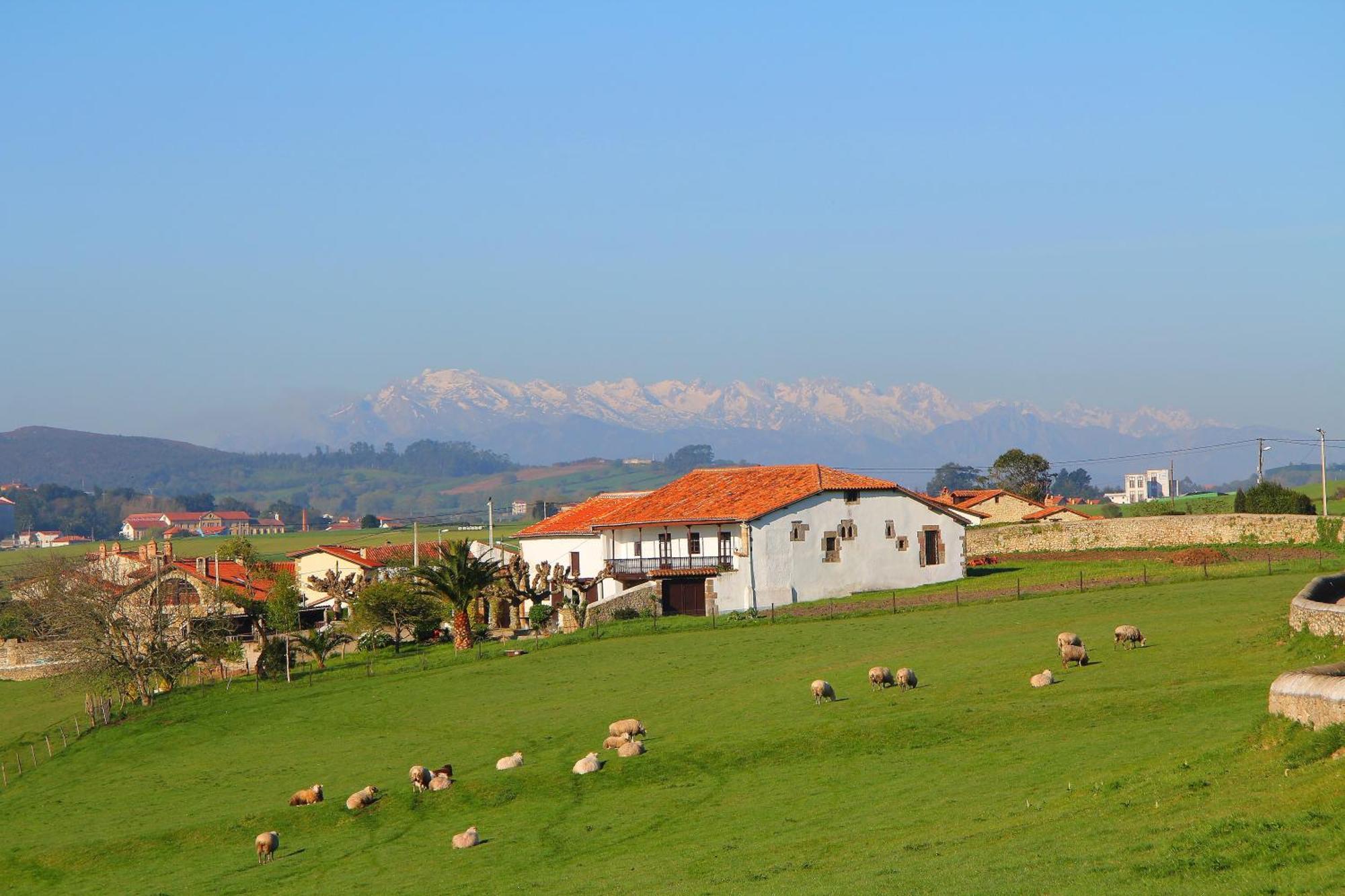 Palacion De Toñanes Εξωτερικό φωτογραφία